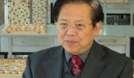 胡荣华最新爆料,揭秘围棋界不为人知的幕后故事