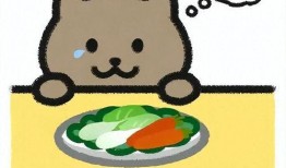 最新博主爆料胖猫是谁,最新博主爆料，胖猫身份引发热议！