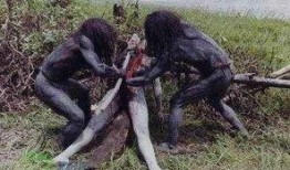 最新恐怖吃瓜爆料新闻视频,最新恐怖吃瓜爆料视频曝光，真相令人胆寒！